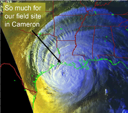 Satellite image of Hurricane Rita